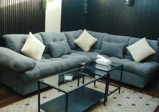 Apartment 60